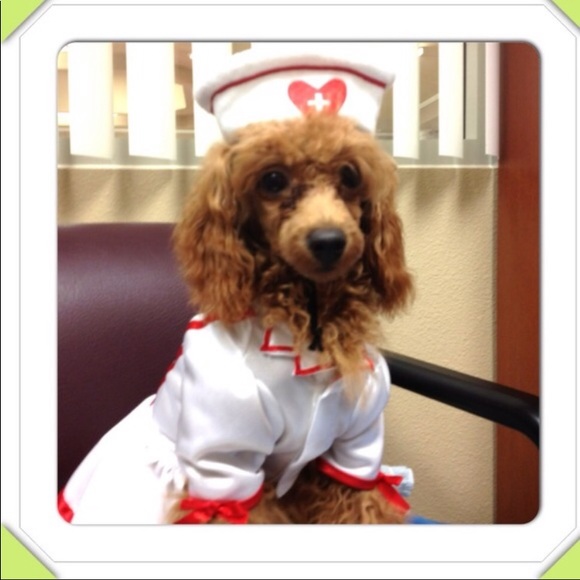 Hello👋Have confidence, I’m a Poshmark Ambassador. - Picture 15 of 17